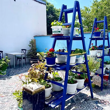 Regina Bed&wine 바르나